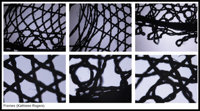 Black Lace, light microscopy, visual experiment