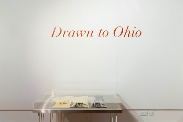 View of installation at 'Drawn to Ohio' Exhibition, showing piece 'Ohio Repeat'