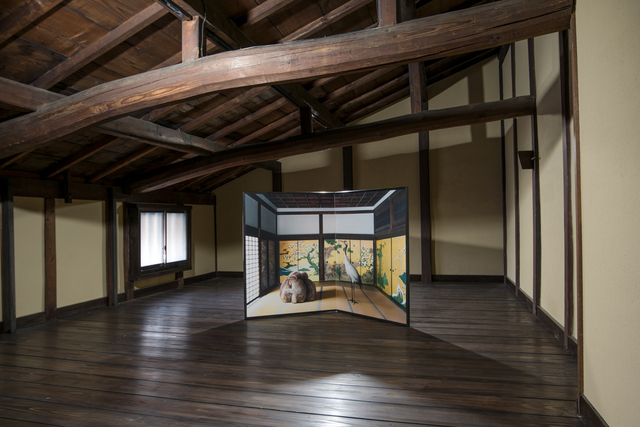 Exhibition installation - Another Way of Telling - Karen Knorr, Shiho Kito