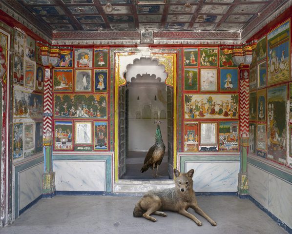 The Lion’s Saviour, Zanana, Dungarpur Palace