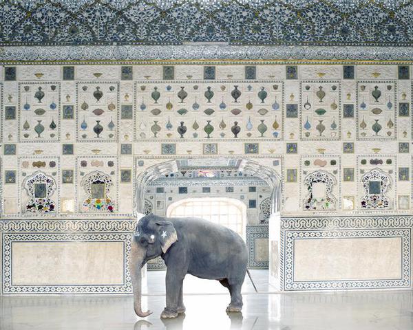 Temple Servant, Amber Fort, Jaipur