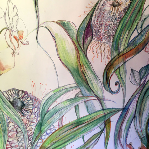 Botanic mixed media drawing SEOS Open Studio event, June 2016