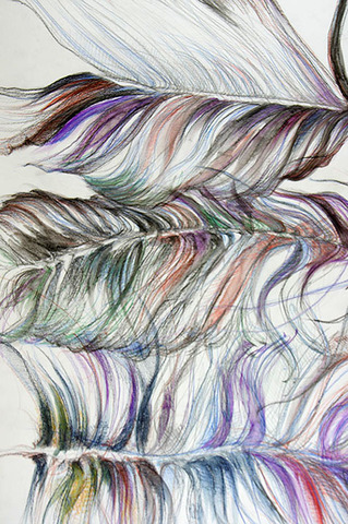 Feather mixed media drawing from SEOS Open Studio event, June 2017