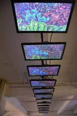 Fig6. ©Tingting Lu, The Person in the Gap, installation: digital screens, animation sequence of frames from The Person in the Gap; Beyond Numenon exhibition, Sichuan Institute of Fine Arts, Chongqing,China, 10/2016